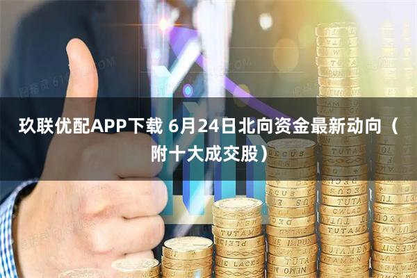 玖联优配APP下载 6月24日北向资金最新动向（附十大成交股）
