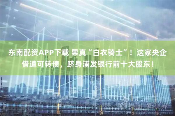 东南配资APP下载 果真“白衣骑士”！这家央企借道可转债，跻身浦发银行前十大股东！