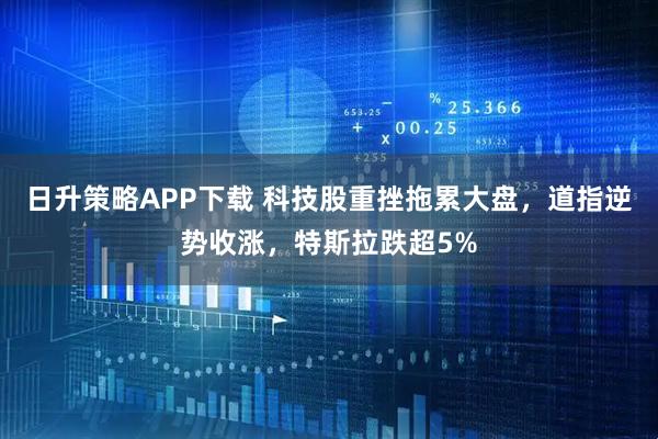 日升策略APP下载 科技股重挫拖累大盘，道指逆势收涨，特斯拉跌超5%