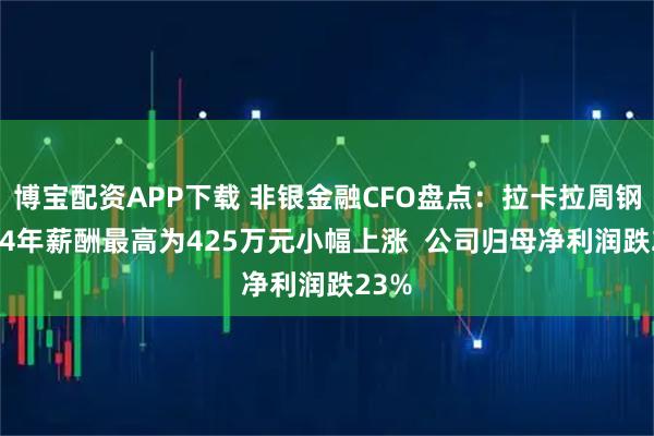 博宝配资APP下载 非银金融CFO盘点：拉卡拉周钢2024年薪酬最高为425万元小幅上涨  公司归母净利润跌23%