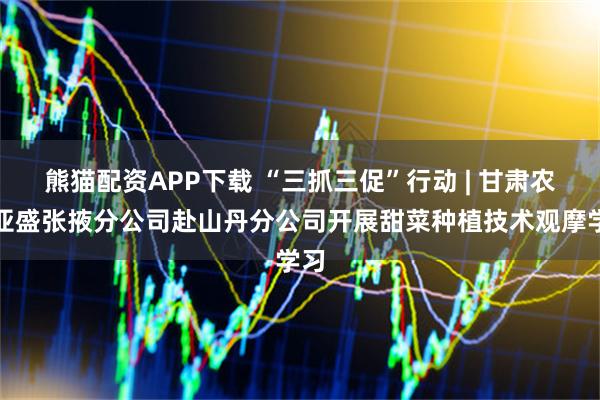 熊猫配资APP下载 “三抓三促”行动 | 甘肃农垦亚盛张掖分公司赴山丹分公司开展甜菜种植技术观摩学习