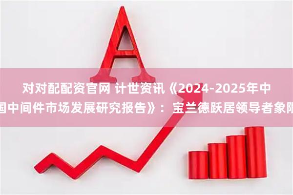 对对配配资官网 计世资讯《2024-2025年中国中间件市场发展研究报告》：宝兰德跃居领导者象限