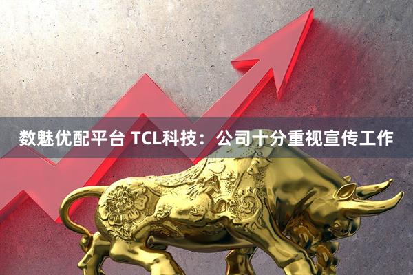 数魅优配平台 TCL科技：公司十分重视宣传工作